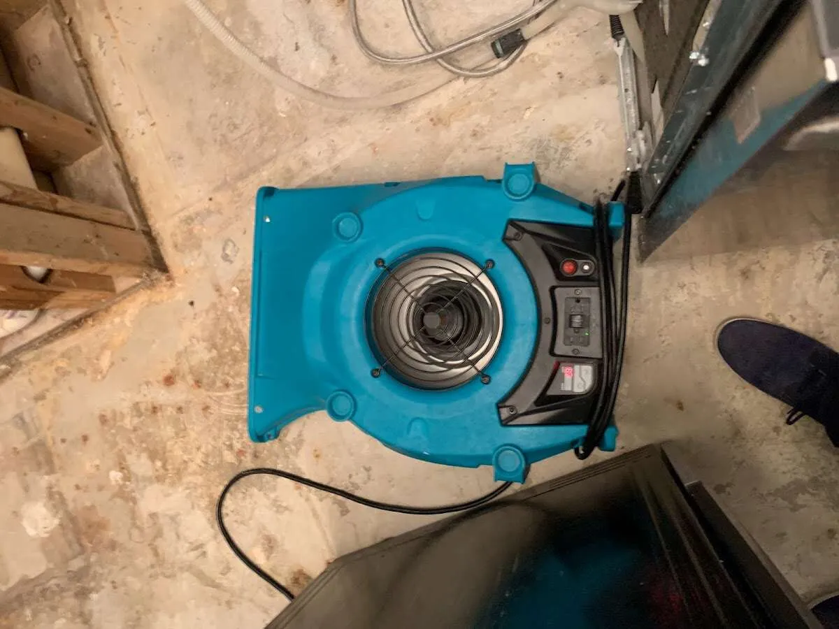 Air mover drying equipment for Mold Remediation & Removal in Elmwood