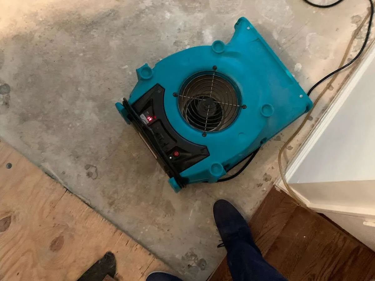 Air mover drying subfloor during Commercial Water Damage Restoration in Elmwood